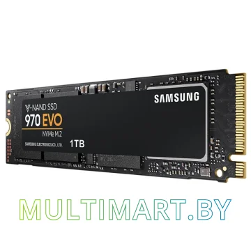 SSD диск Samsung 970 Evo 1TB (MZ-V7E1T0BW) картинка 2